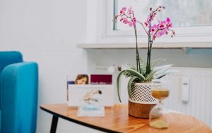 Schöne Blume im Wartezimmer von Zahnarztpraxis Barbutova